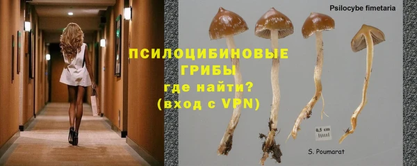 наркотики Богородицк