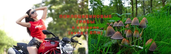 бутик Богданович